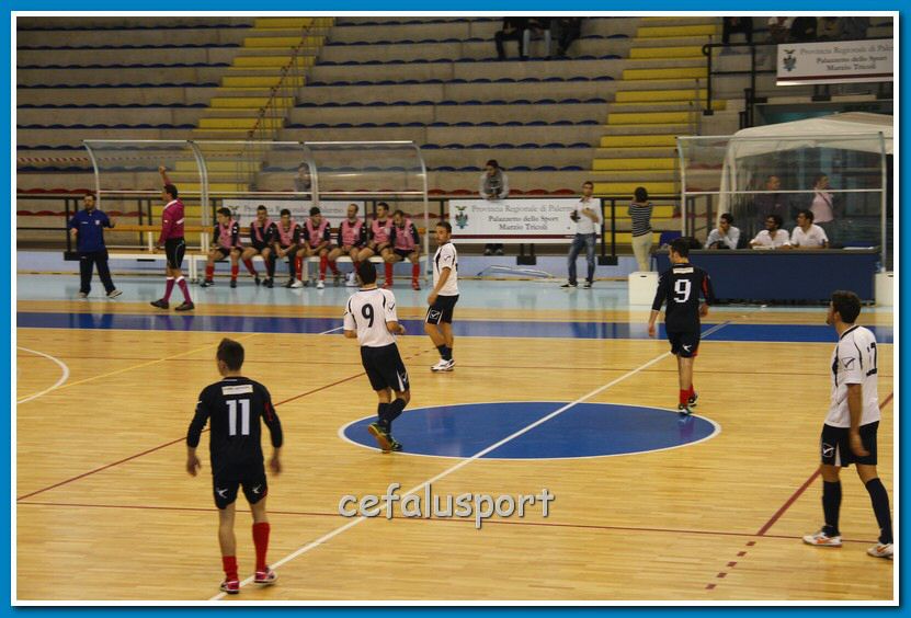 121117 canicat 053_tn.jpg